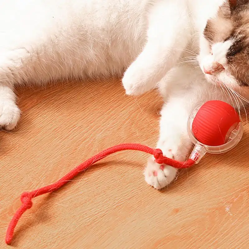 Electric Cat Ball Toys Automatic Rolling Ball Faux Tail Rechargeable Smart Pet Interactive Toy Dog Cat Training Imitate - Image 5