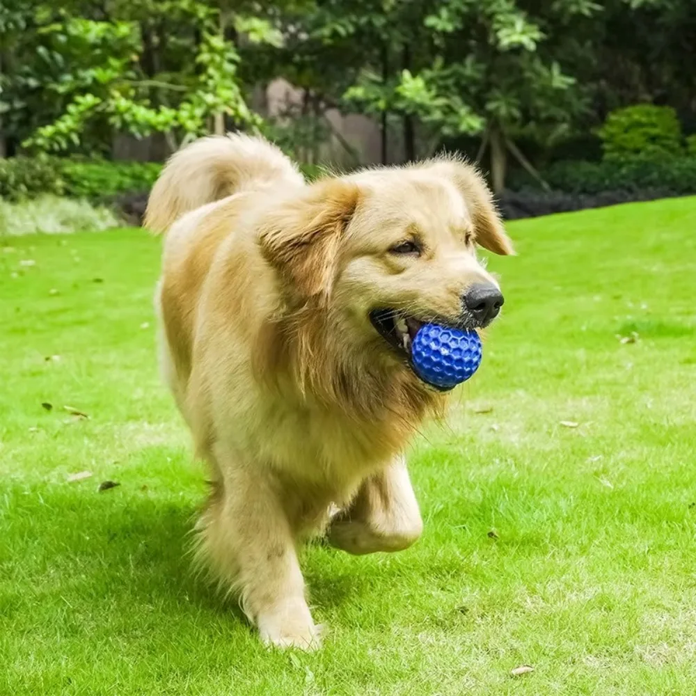 New Dog Toys Bite Resistant Interactive Throwing Sound Honeycomb Balls Natural Rubber Teething Clean Teeth Toys Pet Products - Image 6